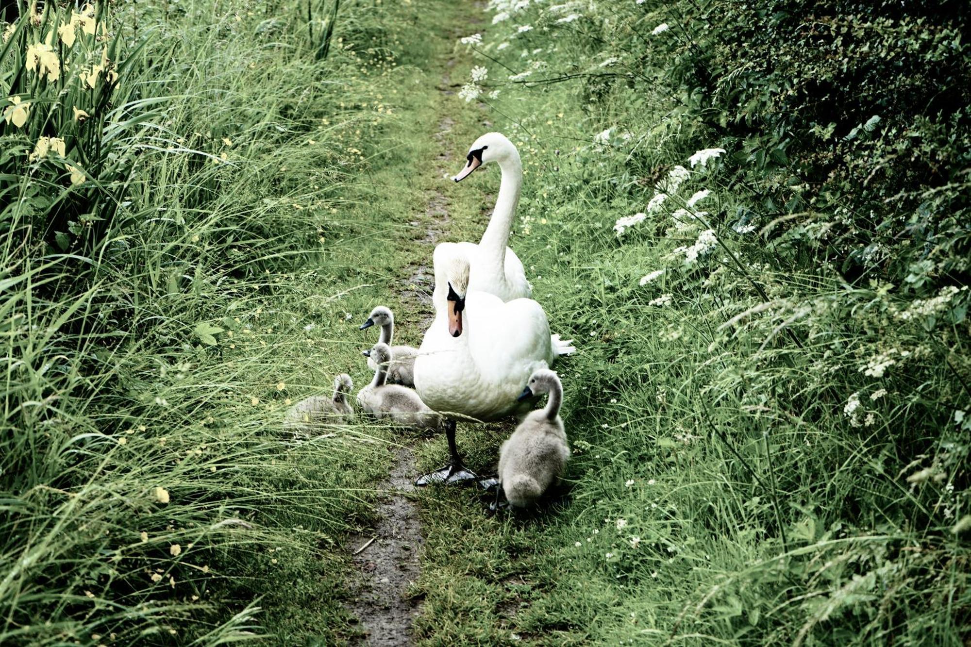 Duck Terrace With Gym Duckling Stays Kibworth Harcourt Luaran gambar